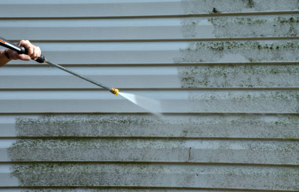 Best Solar Panel Cleaning  in Socastee, SC